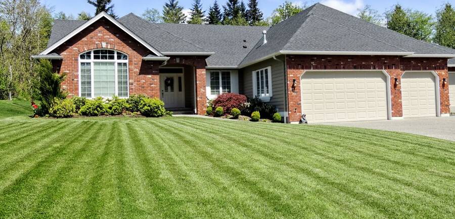 Lawn care by Dynasty Commercial Cleaning LLC.