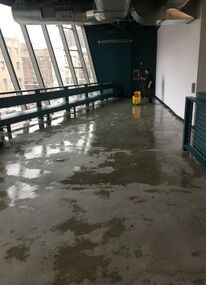 Floor Cleaning and Commercial Cleaning Services in Staten Island, NY (1)